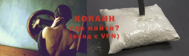 тгк Беломорск