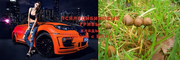 мяу мяу мука Белоозёрский