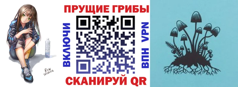 Купить закладки  Гуково  Псилоцибиновые грибы прущие грибы 